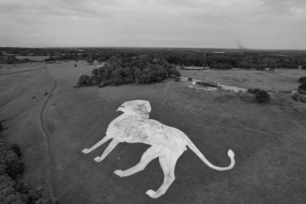 Black and white aerial photo of the Dunstable Chalk Lion in England's countryside.