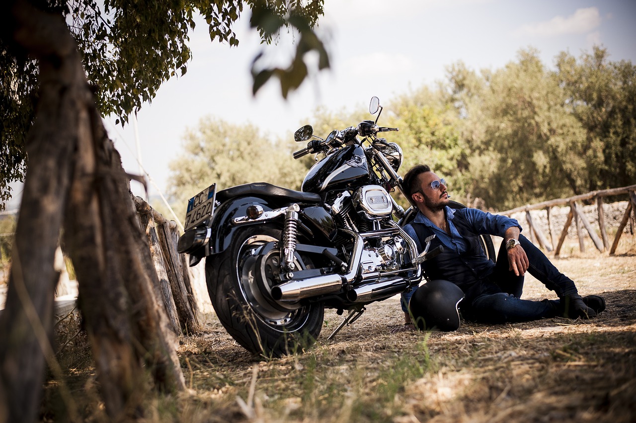 biker, harley, harley davidson-2572582.jpg