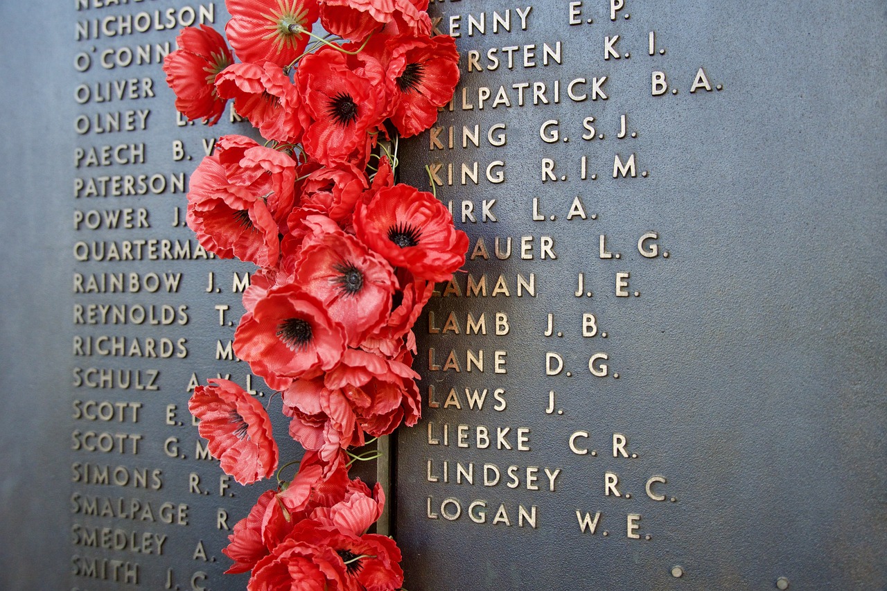 remembrance day, memory, war, anzac, remembrance, veteran, poppy, flower background, soldier, sacrifice, monument, remember, nature, symbol, beautiful flowers, flower wallpaper, peace, funeral, memorial, military, respect, honor, patriotism, flower, history, red